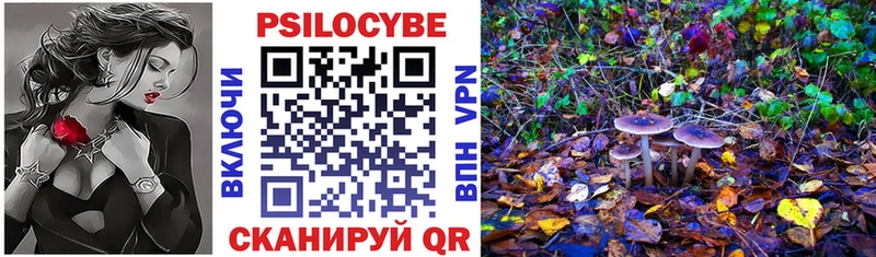 Псилоцибиновые грибы Magic Shrooms  купить наркотик  Нижневартовск 